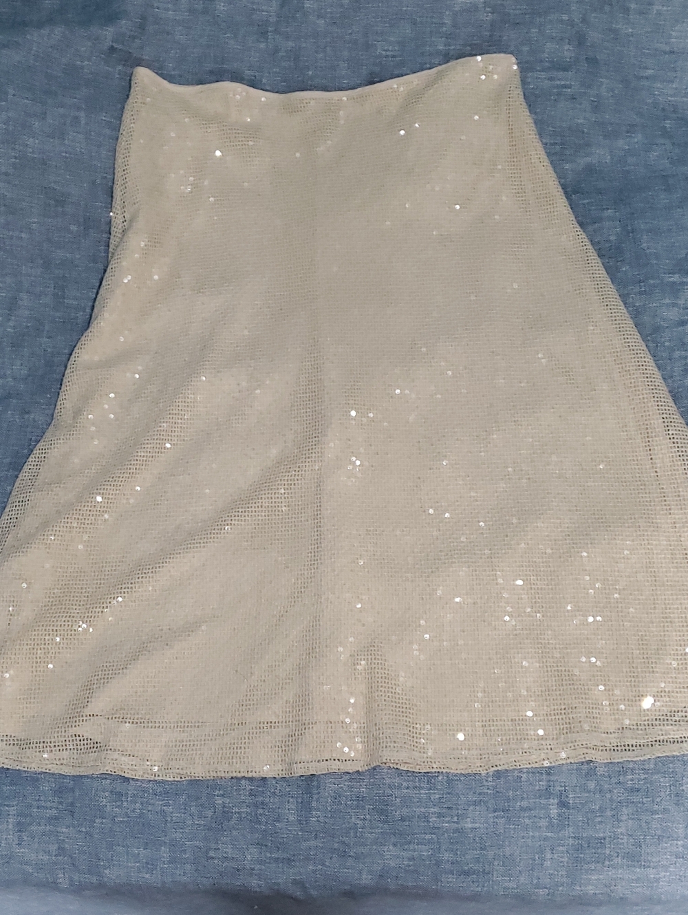Cream Sequin Net Skirt
